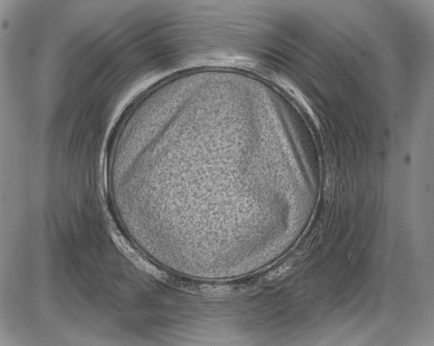 X0000085761080200703301422