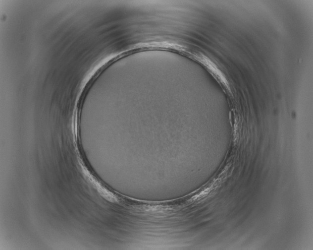 X0000085761084200703301422