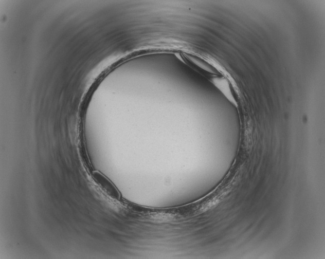X0000085761085200703301422