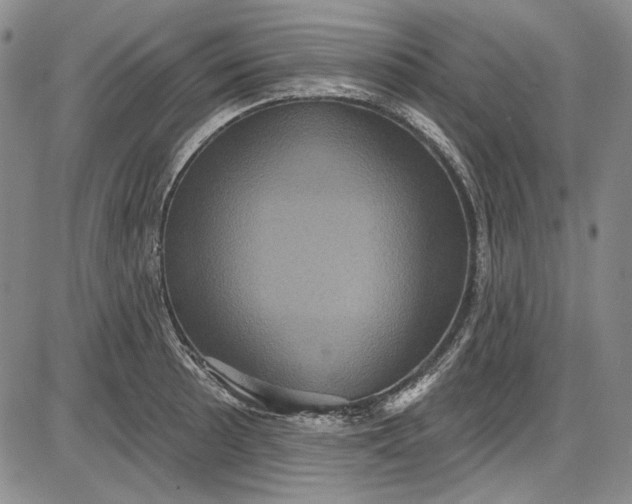 X0000085761089200703301422