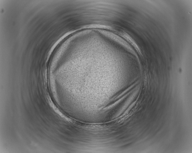 X0000085761092200703301422