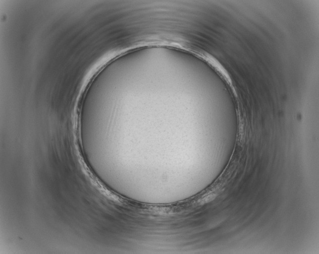 X0000085761096200703301422