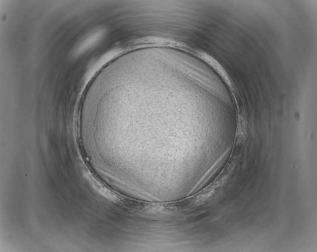 X0000085761098200703301421