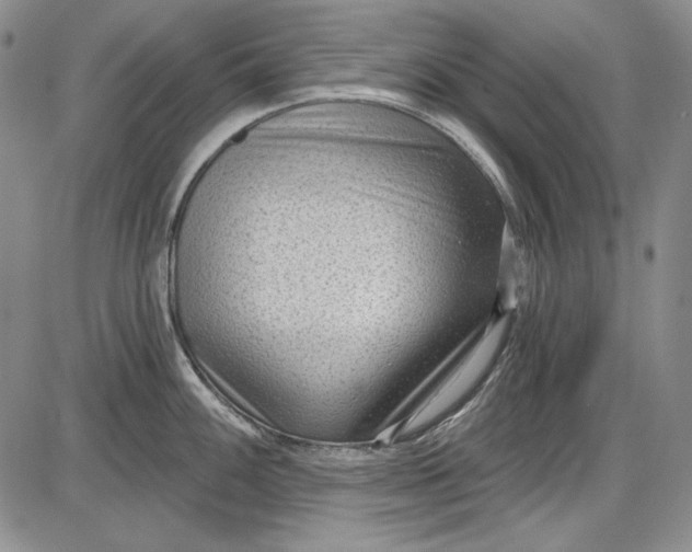 X0000085761100200703301421