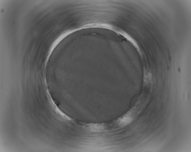 X0000085761102200703301421