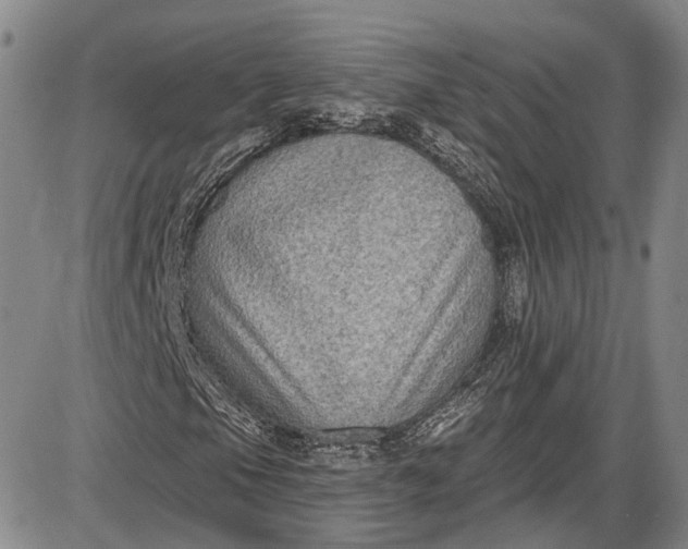 X0000085761105200703301421