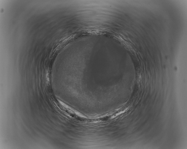X0000085761106200703301421