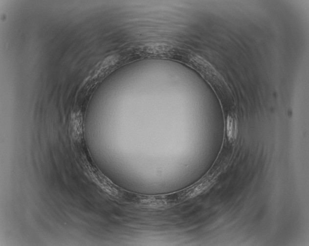 X0000085761107200703301421
