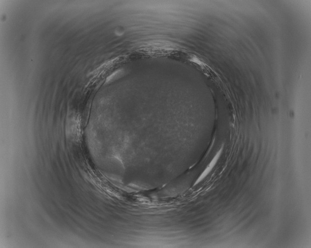 X0000085761108200703301421