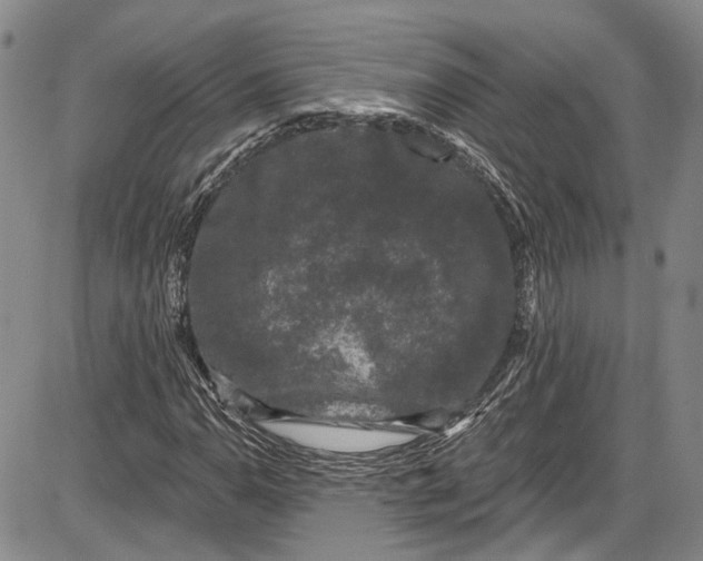X0000085761110200703301421