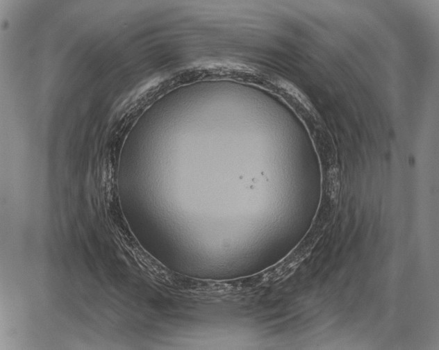 X0000085761111200703301421