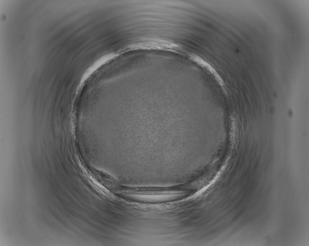 X0000085761114200703301421