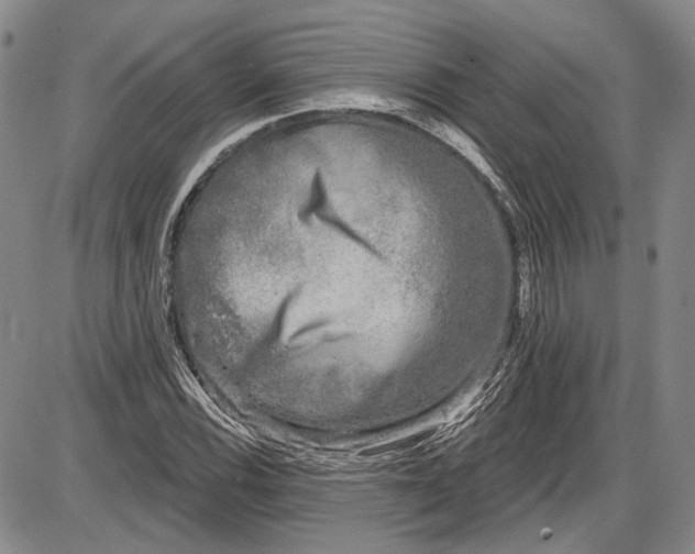 X0000085761116200703301421