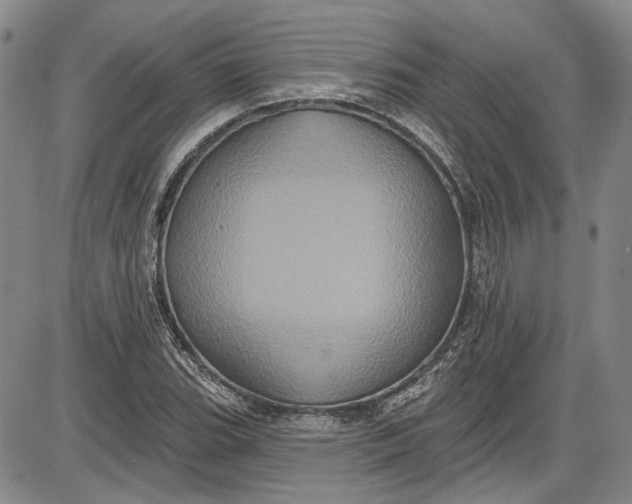 X0000085761119200703301421