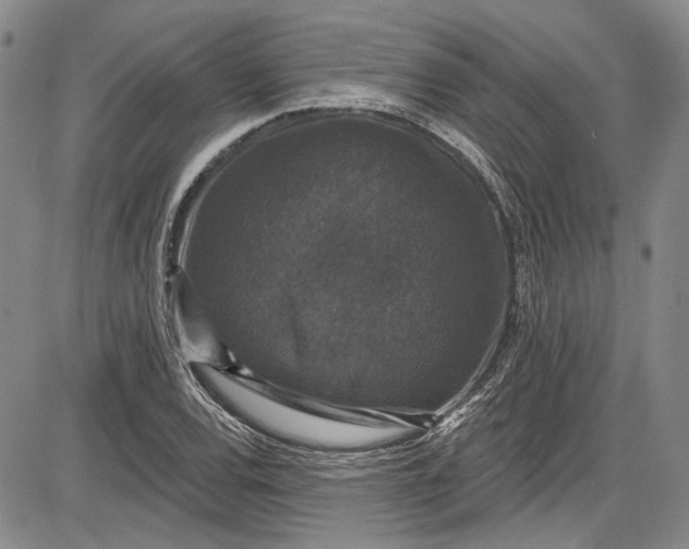 X0000085761120200703301421
