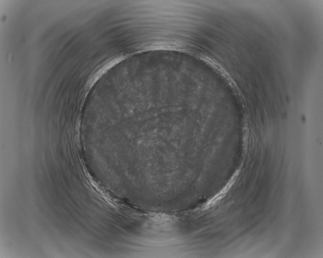 X0000085761121200703301421