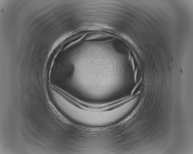 X0000085761122200703301421