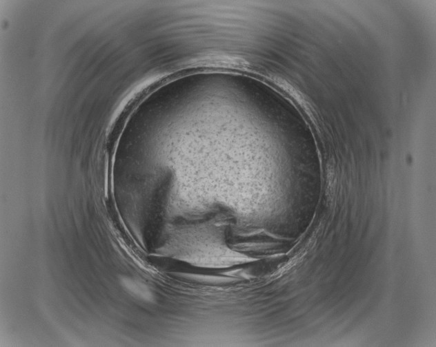 X0000085761123200703301421