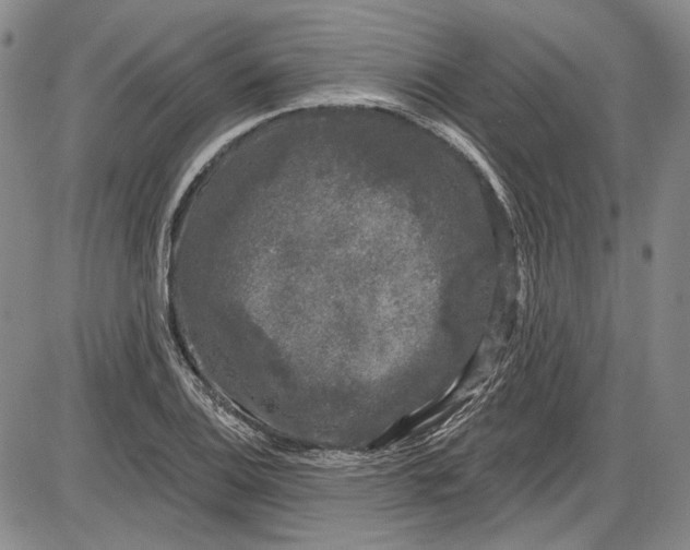 X0000085761124200703301421