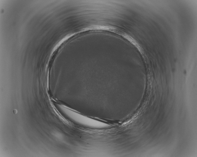 X0000085761127200703301421