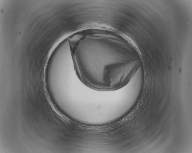 X0000085761128200703301421