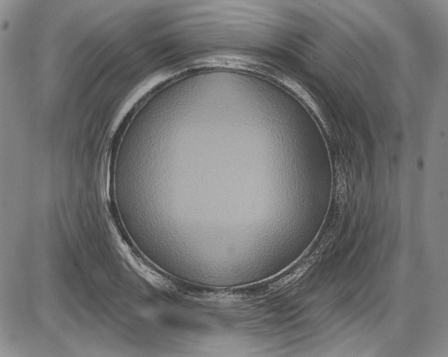 X0000085761131200703301421