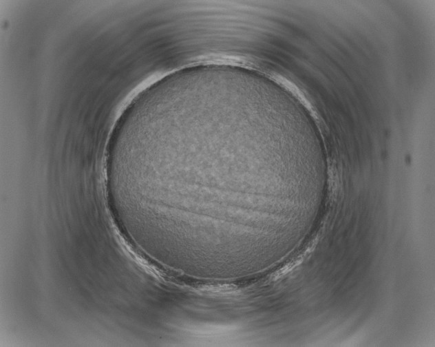 X0000085761133200703301421