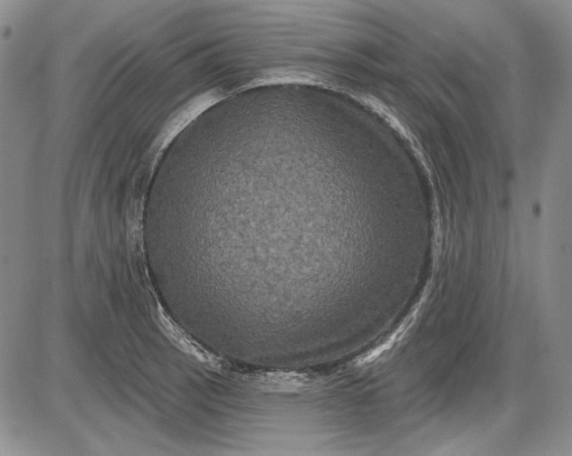 X0000085761137200703301421