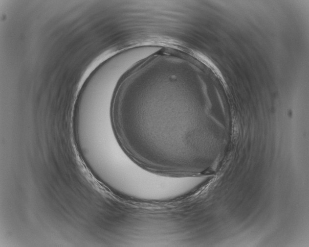 X0000085761138200703301421