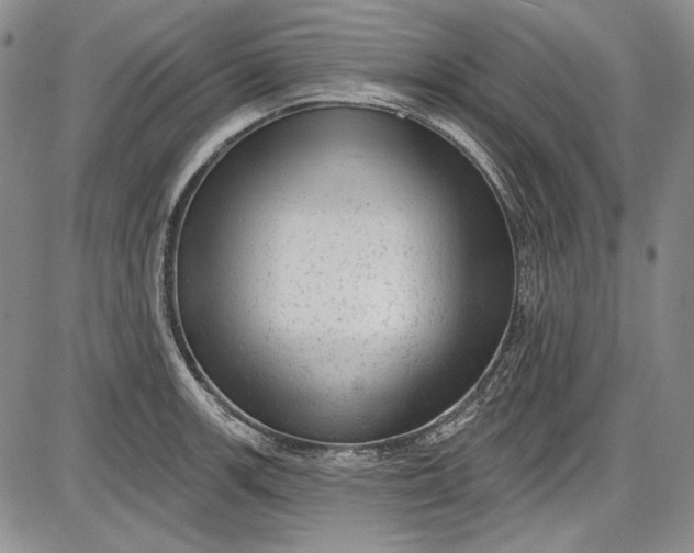 X0000085761139200703301421