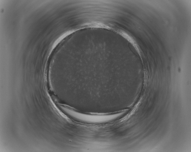 X0000085761141200703301421
