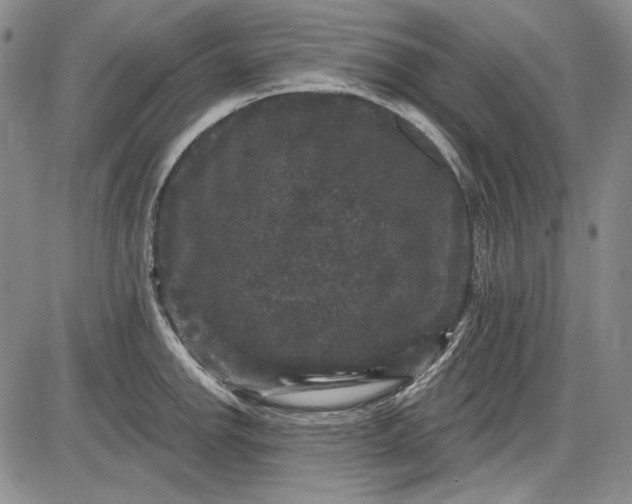 X0000085761142200703301421