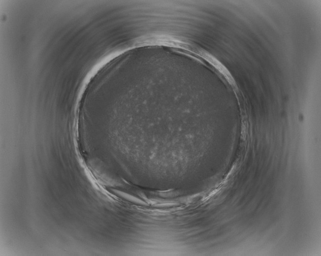 X0000085761144200703301421