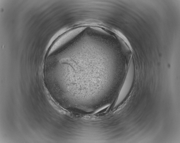 X0000085761146200703301421