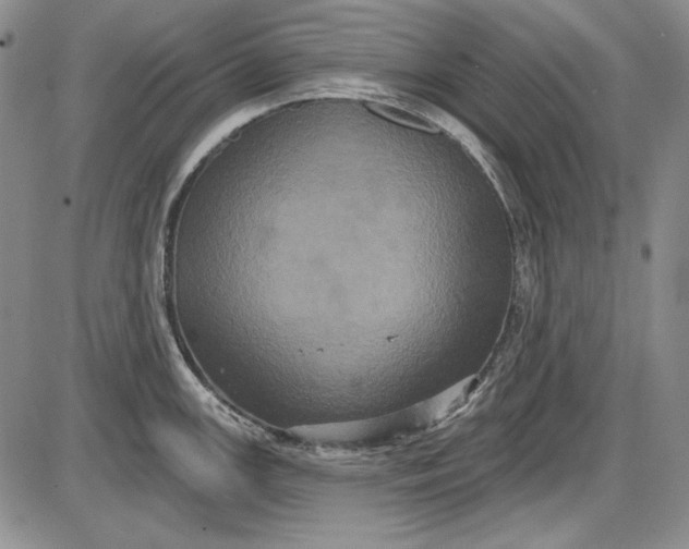 X0000085761147200703301421