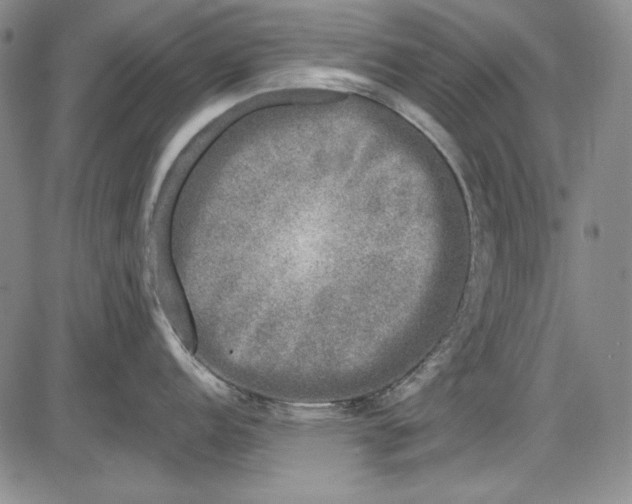 X0000085761152200703301421
