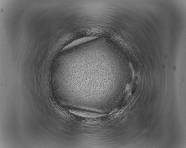 X0000085761153200703301421