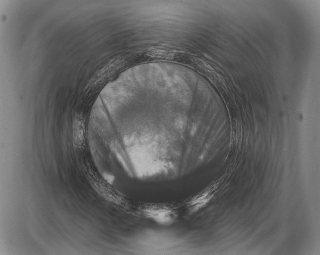 X0000085761154200703301421
