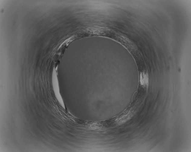 X0000085761155200703301421