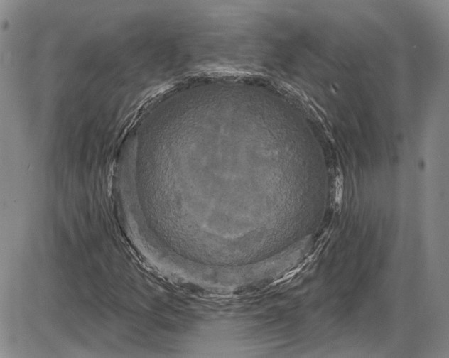 X0000085761157200703301421