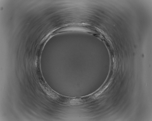 X0000085761161200703301420