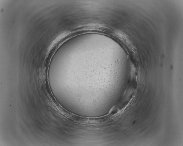 X0000085761164200703301420