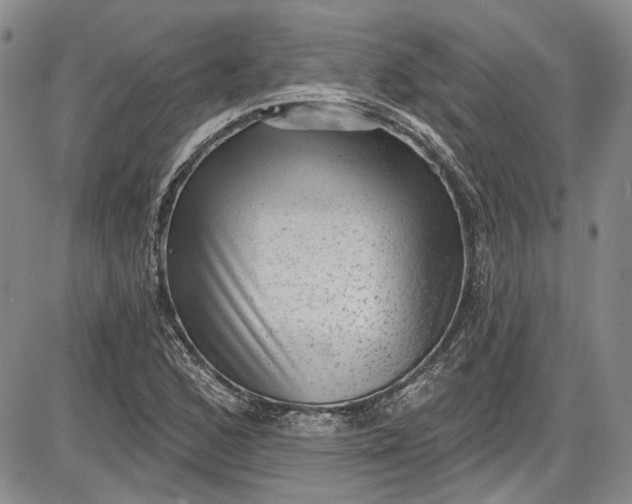 X0000085761168200703301420