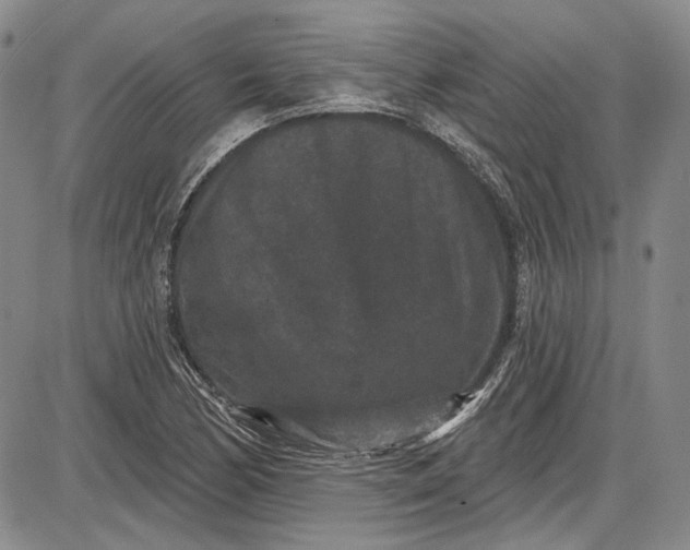 X0000085761170200703301420