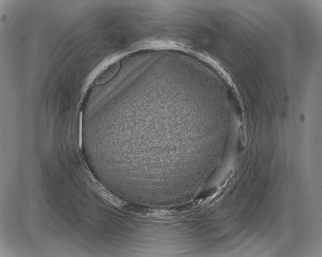 X0000085761175200703301420