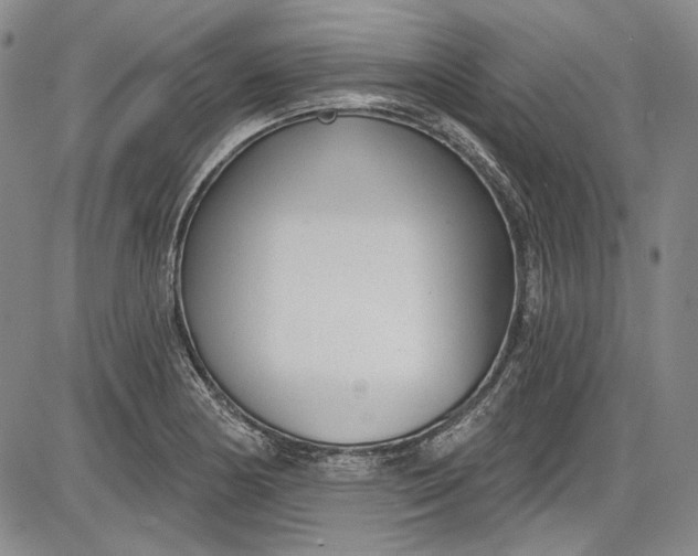 X0000085761178200703301420