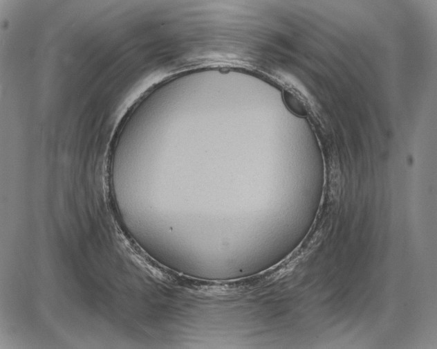 X0000085761182200703301420