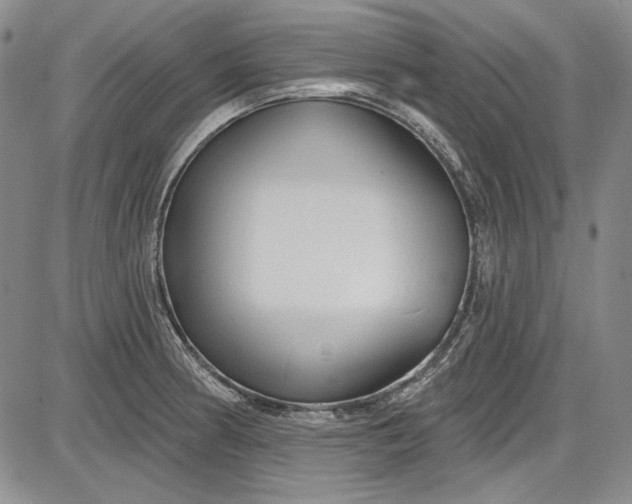 X0000085761186200703301420
