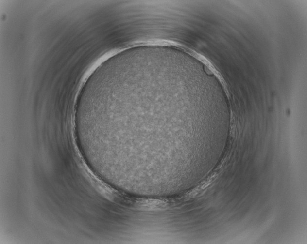 X0000085761187200703301420