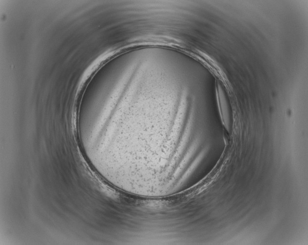X0000085761188200703301420
